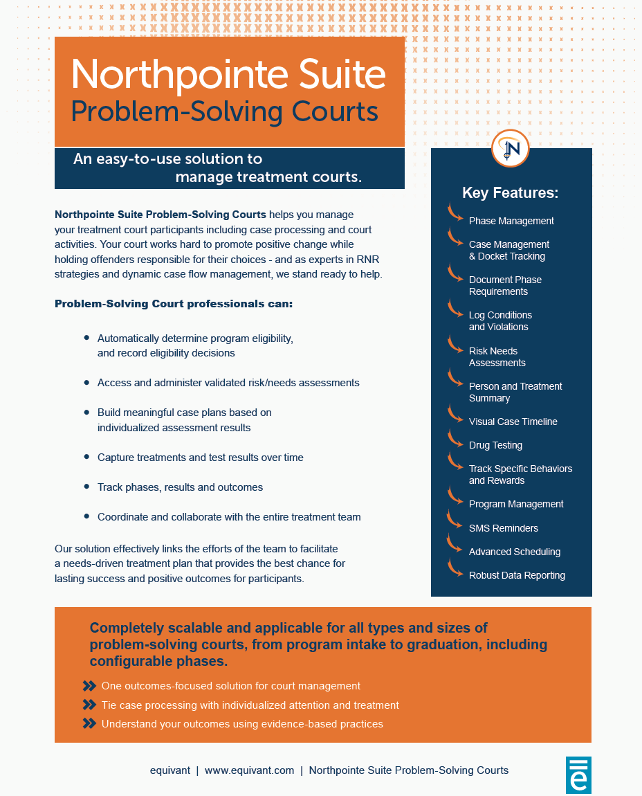 problem solving court examples